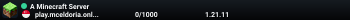 A Minecraft Server