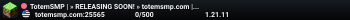TotemSMP | » RELEASING SOON! » totemsmp.com | Updates at discord.gg/PlayTotem