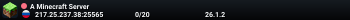 A Minecraft Server
