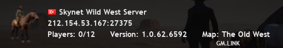 Skynet Wild West Server