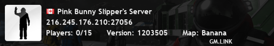 Pink Bunny Slipper's Server