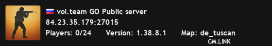 vol.team GO Public server