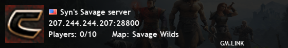 Syn's Savage server