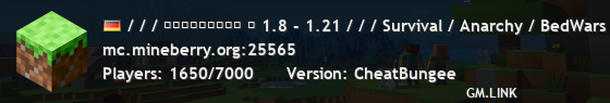 / / / ＭＩＮＥＢＥＲＲＹ ⋆ 1.8 - 1.21 / / / Survival / Anarchy / BedWars / SkyWars / KitPvP