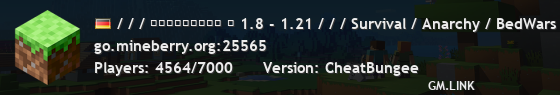 / / / ＭＩＮＥＢＥＲＲＹ ⋆ 1.8 - 1.21 / / / Survival / Anarchy / BedWars / SkyWars / KitPvP