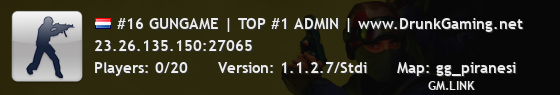 #16 GUNGAME | TOP #1 ADMIN | www.DrunkGaming.net