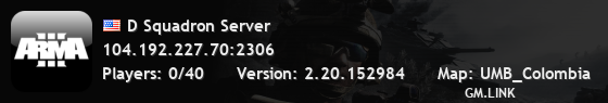D Squadron Server
