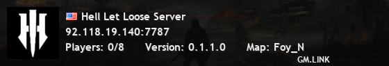 Hell Let Loose Server