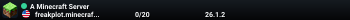 A Minecraft Server