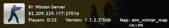 Winter-Server