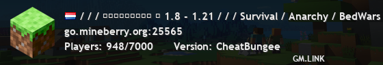 / / / ＭＩＮＥＢＥＲＲＹ ⋆ 1.8 - 1.21 / / / Survival / Anarchy / BedWars / SkyWars / KitPvP