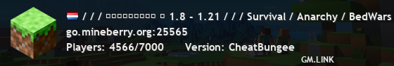 / / / ＭＩＮＥＢＥＲＲＹ ⋆ 1.8 - 1.21 / / / Survival / Anarchy / BedWars / SkyWars / KitPvP