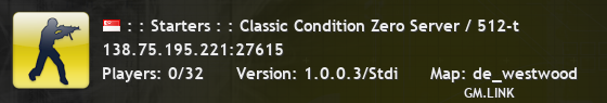 : : Starters : : Classic Condition Zero Server / 512-t