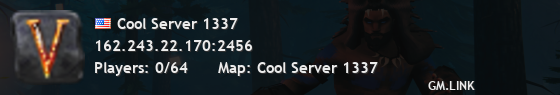 Cool Server 1337