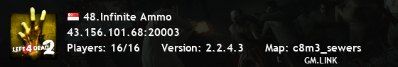 48.Infinite Ammo