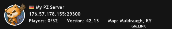 My PZ Server