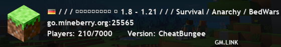 / / / ＭＩＮＥＢＥＲＲＹ ⋆ 1.8 - 1.21 / / / Survival / Anarchy / BedWars / SkyWars / KitPvP