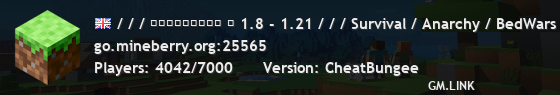 / / / ＭＩＮＥＢＥＲＲＹ ⋆ 1.8 - 1.21 / / / Survival / Anarchy / BedWars / SkyWars / KitPvP