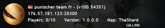 punischer team fr - (v100.54351)